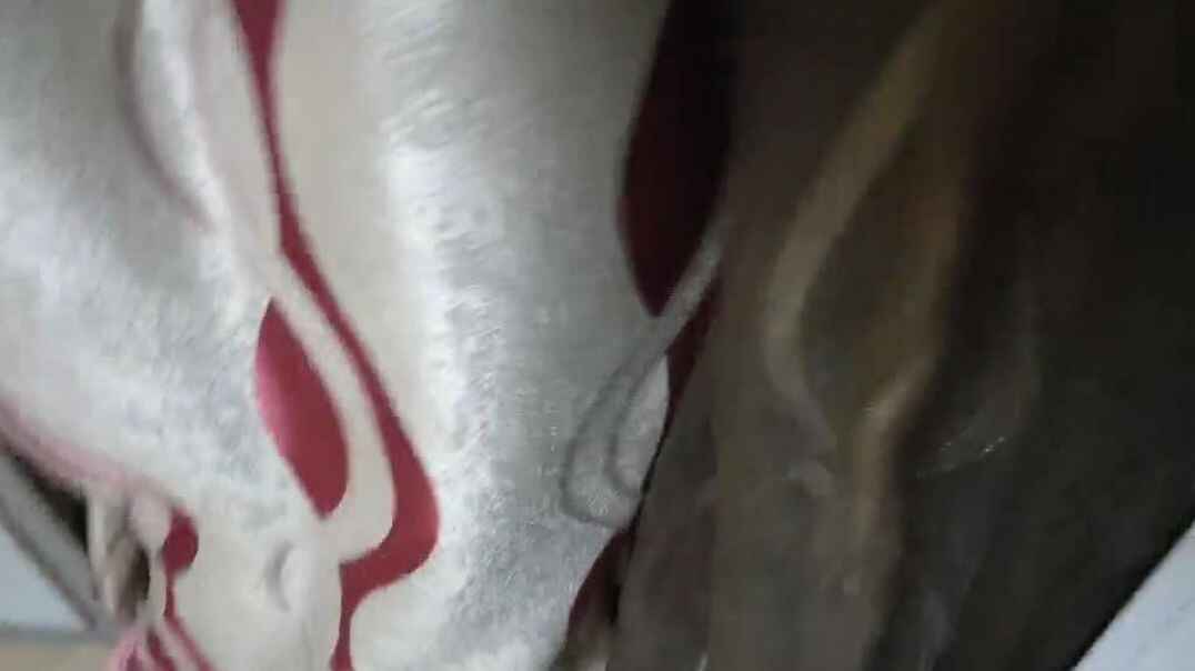 与窗帘玩耍孩子