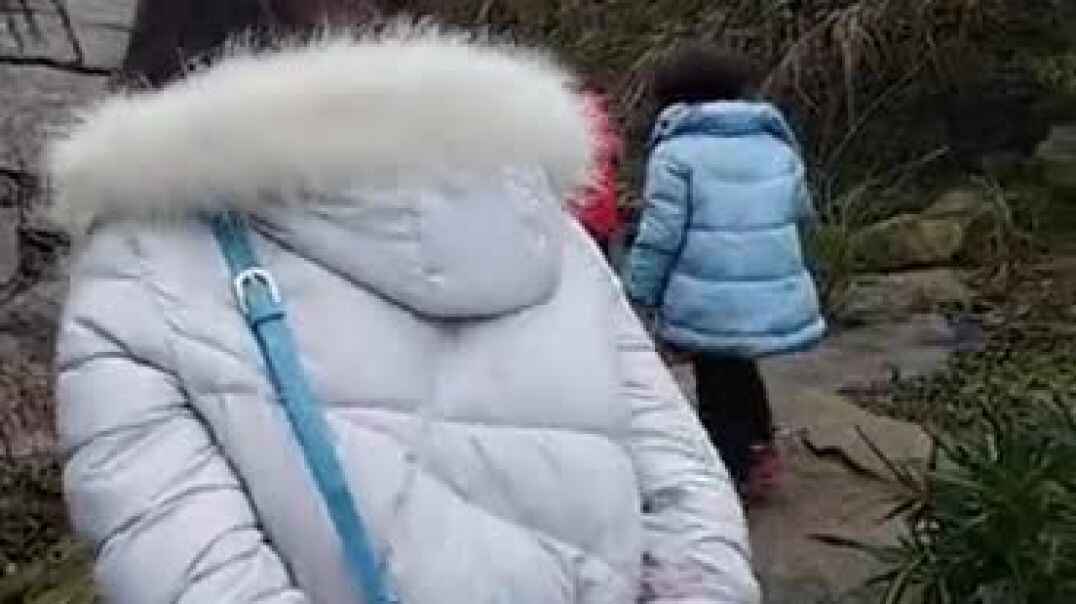 快乐郊游