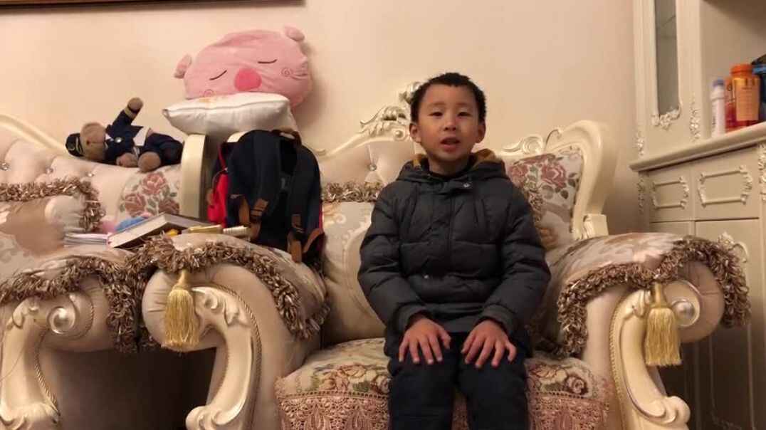奇妙的语言