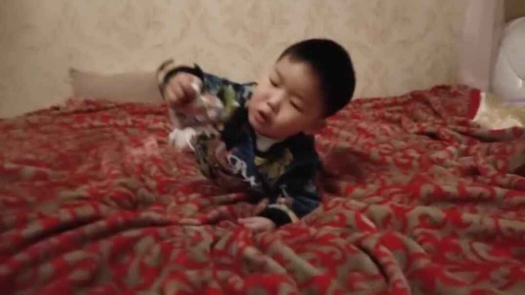 在家里做的事情