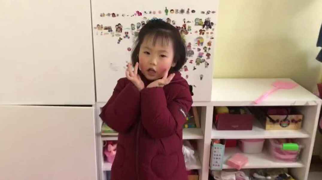 像花儿一样