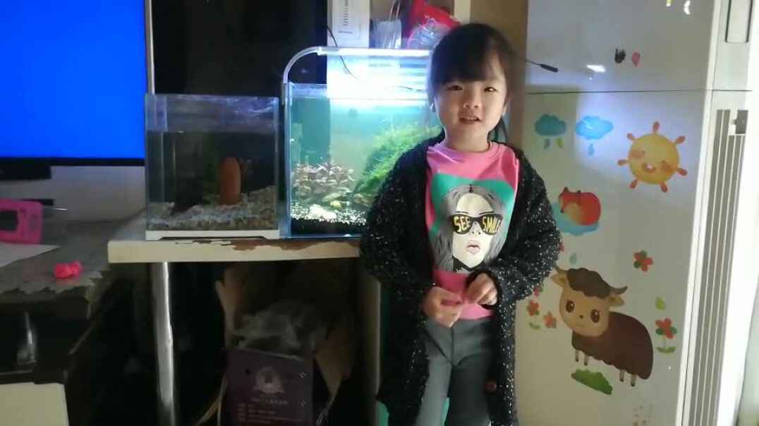 精彩的瞬间