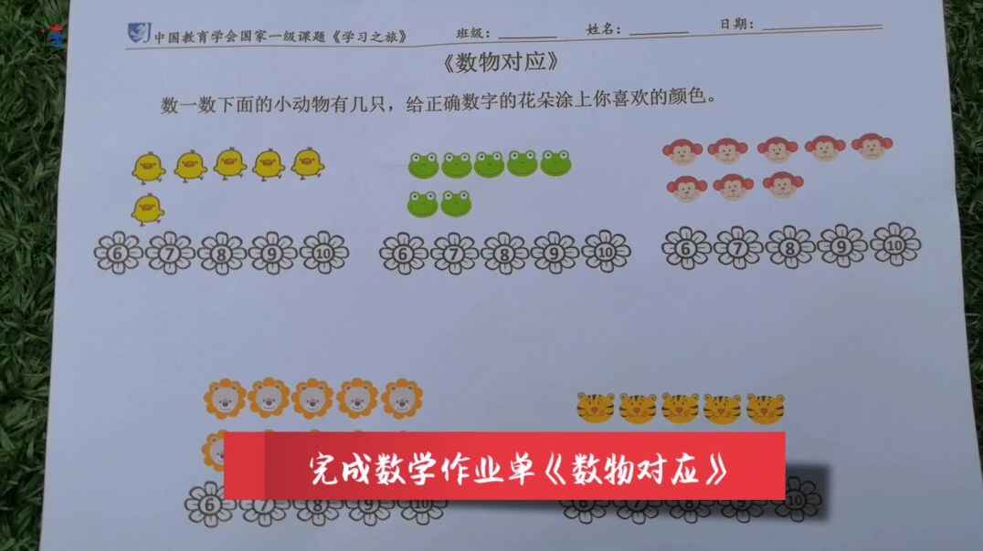 数物对应