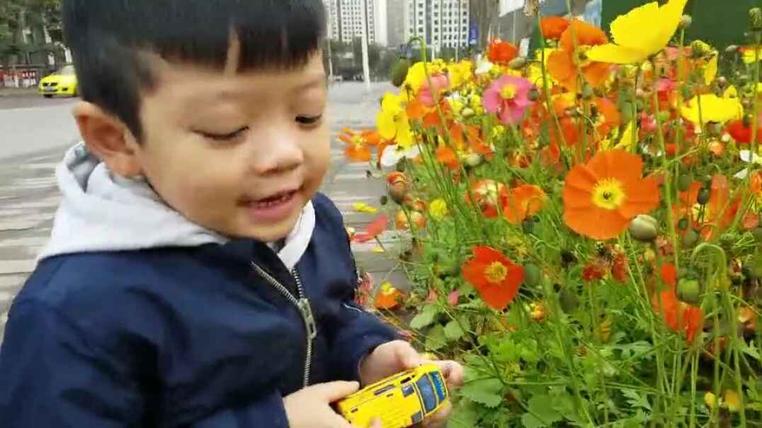 闻花香的男孩