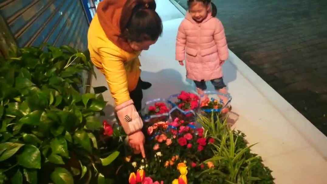 和妈妈一起看花