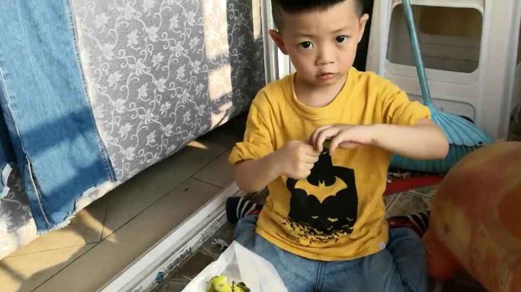 帮妈妈刨胡豆哟