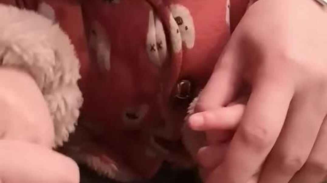 我和妈妈一起做游戏
