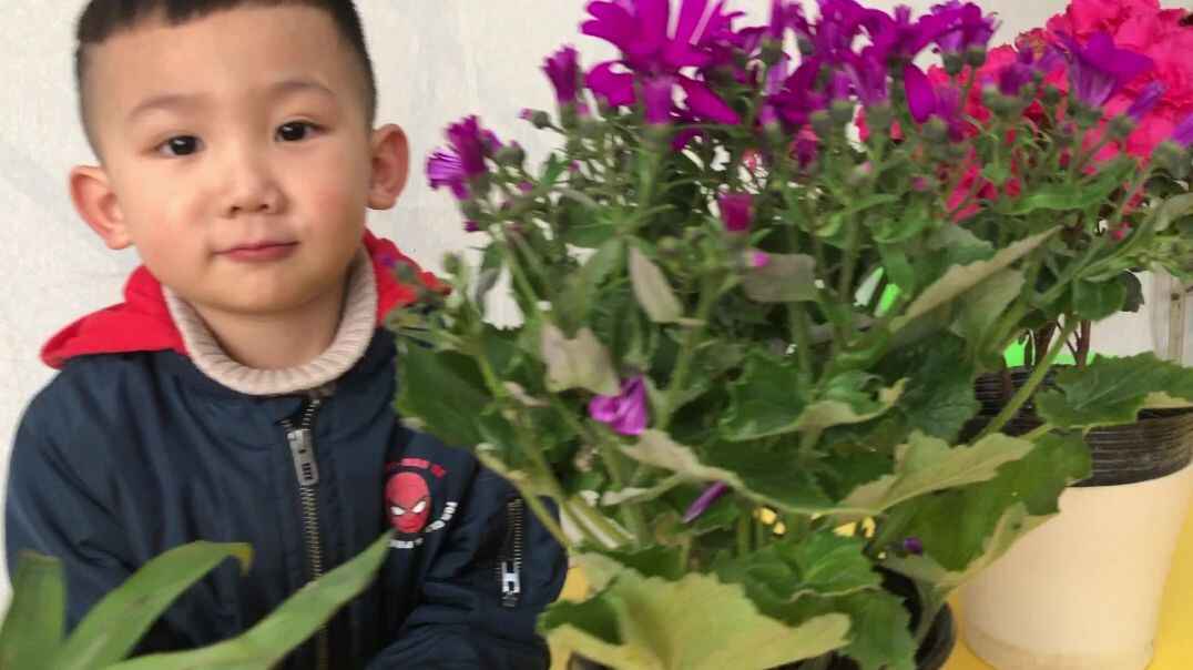 花花漂亮吗