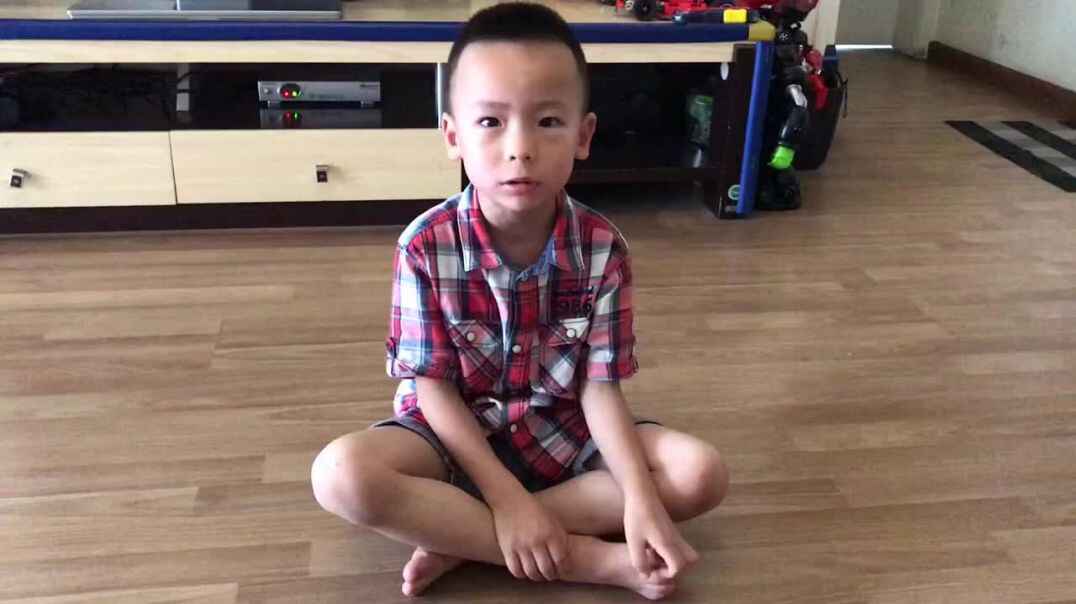 数一数有几个玩具