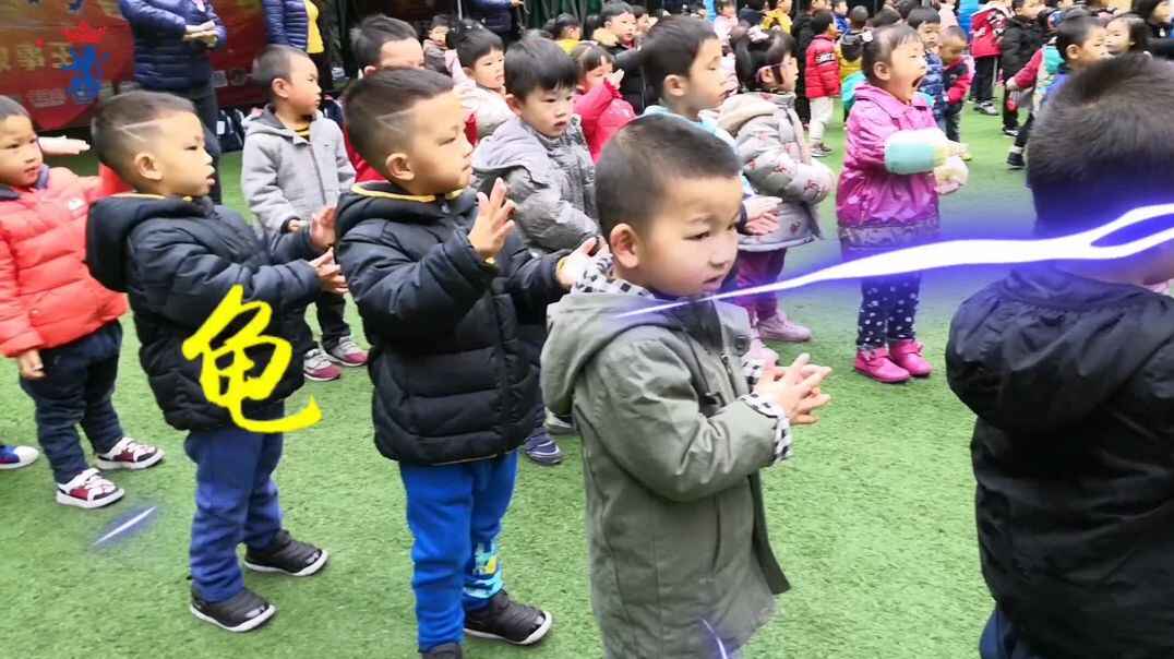 龟太气功.
