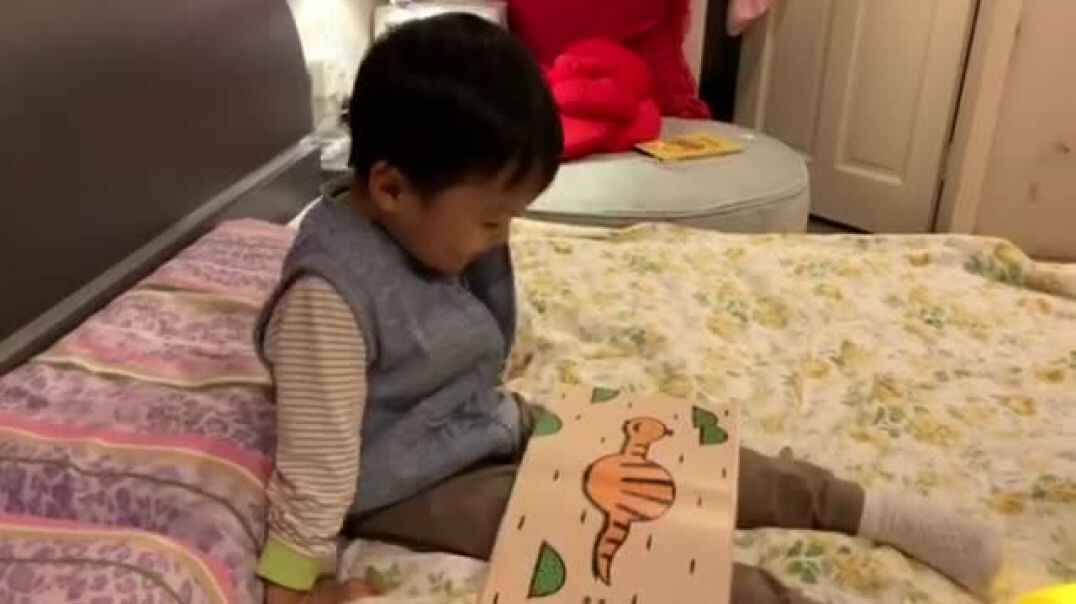 睡前看图书