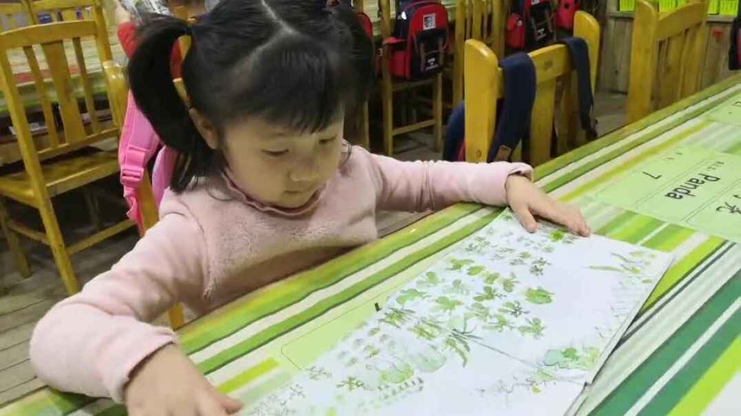 我的故事书