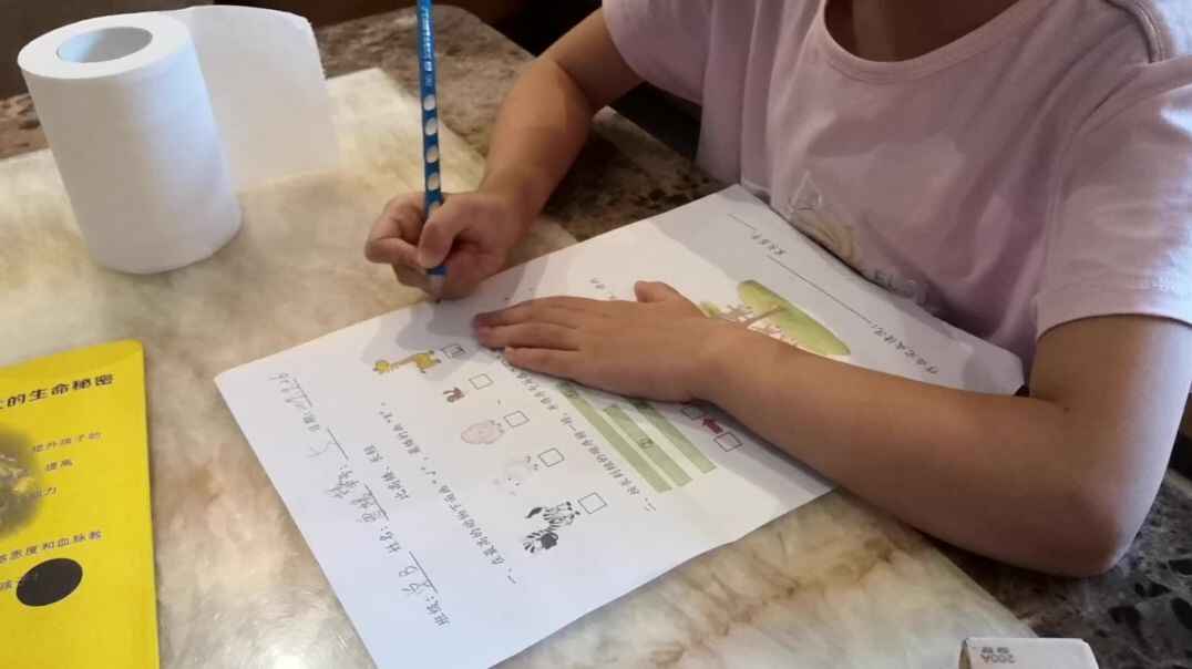 VID_20190926_183911.mp4