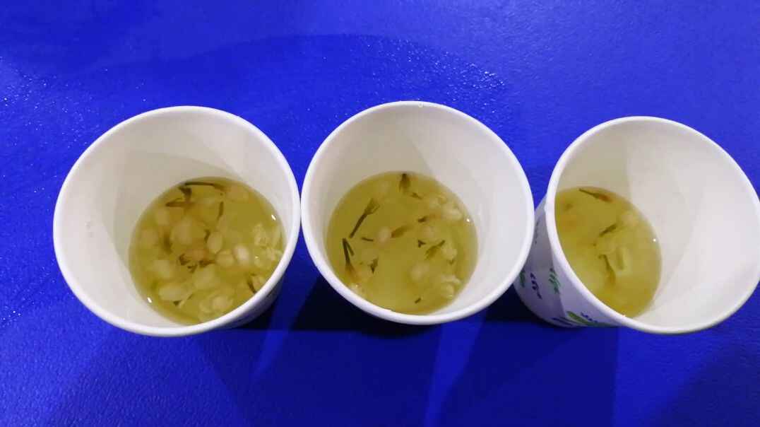 学会泡茶