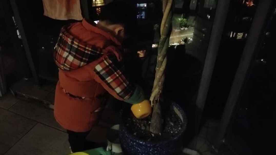 给花花浇水