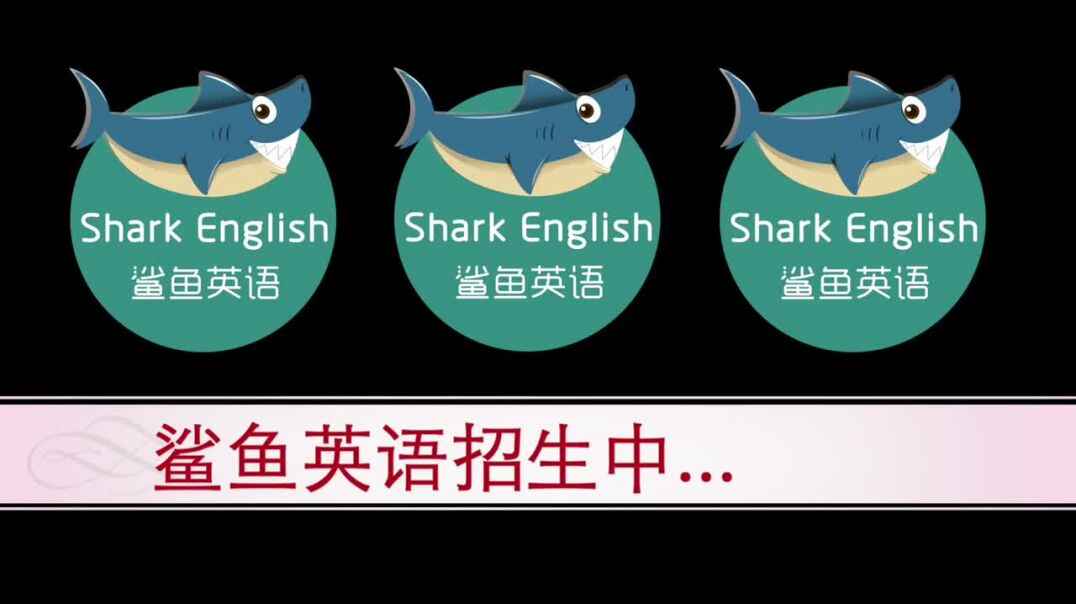 鲨鱼英语学员风采