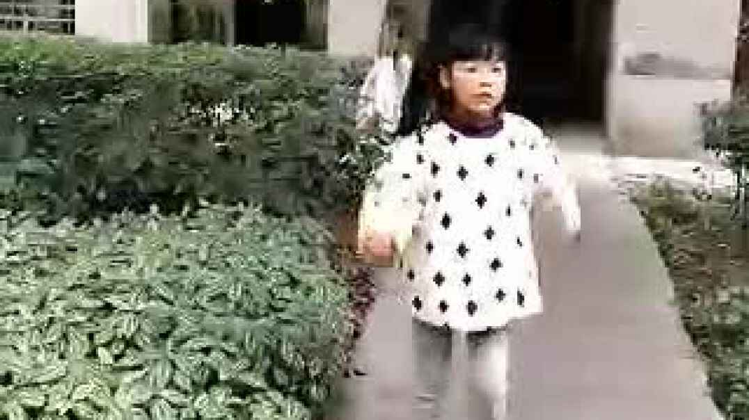 我的表演