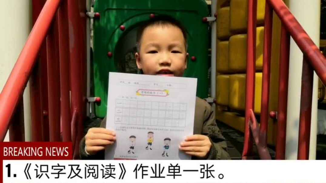 识字认识