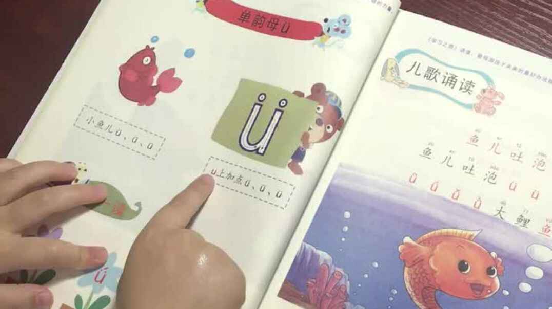 单韵母