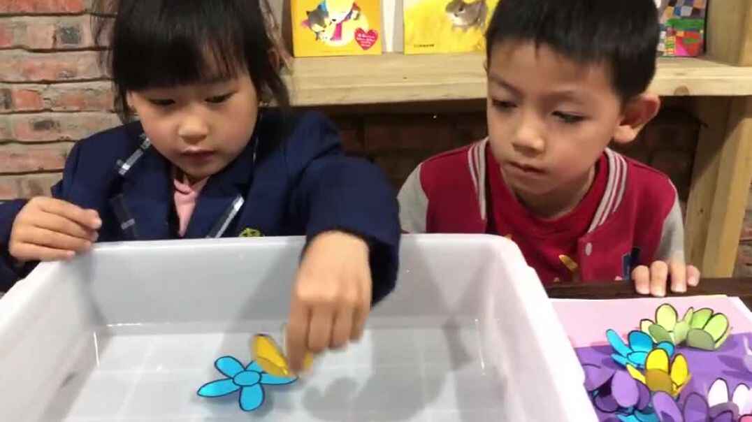 我的乐趣