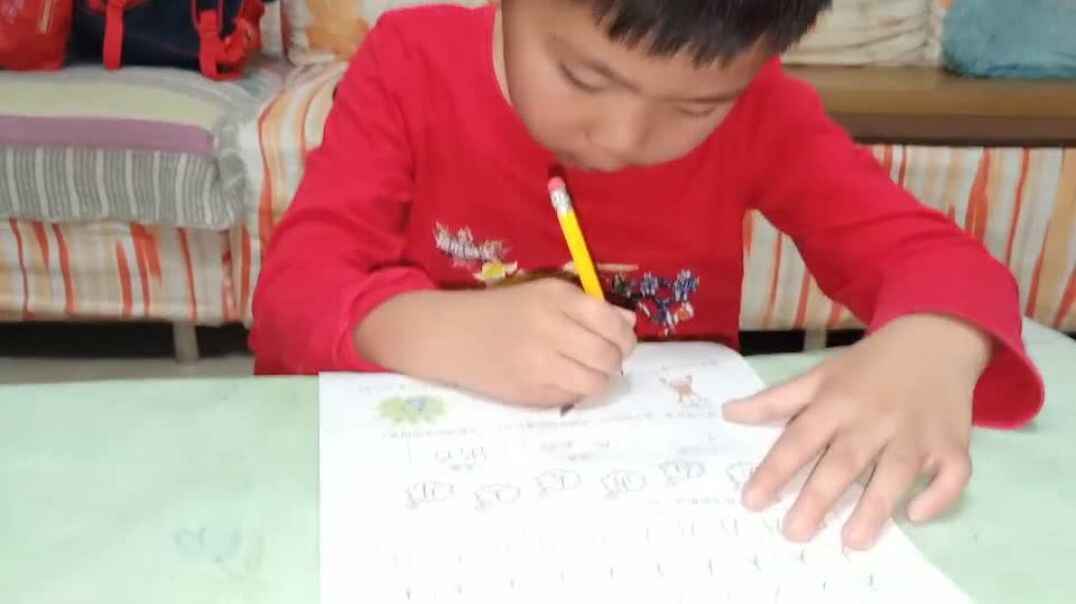 作业完成 (8