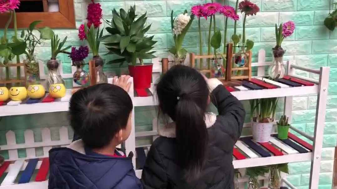 我的日常故事