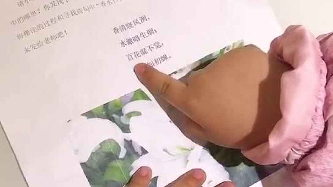 小小古诗读一读