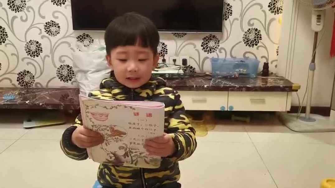 今天讲什么故事