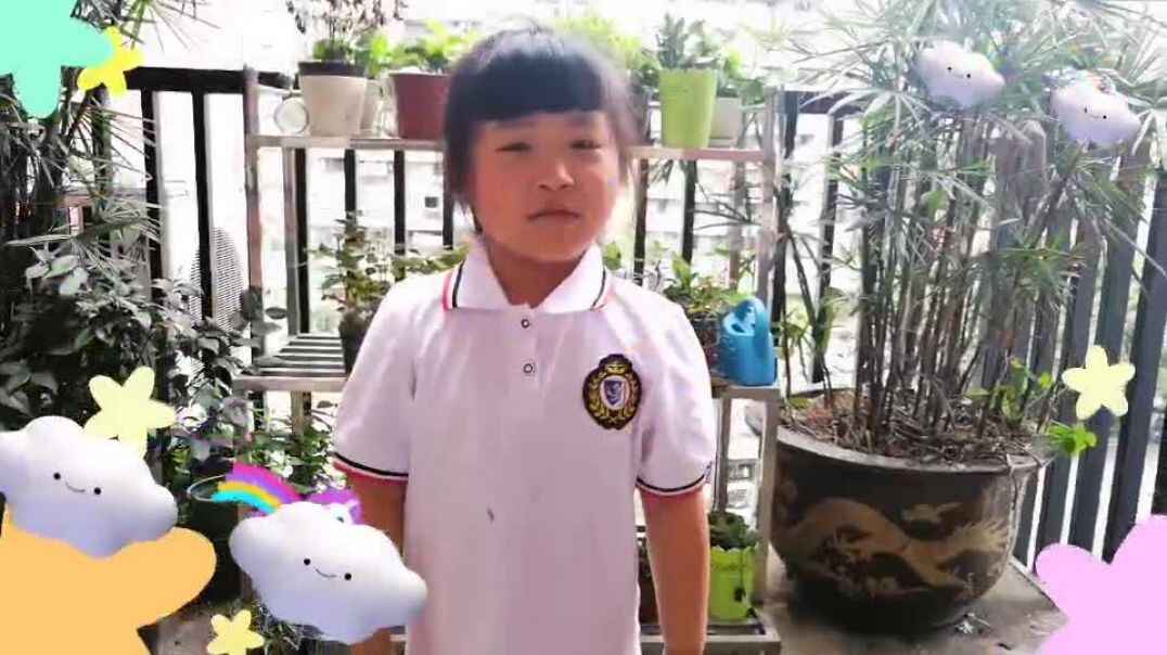 小白的快乐时光