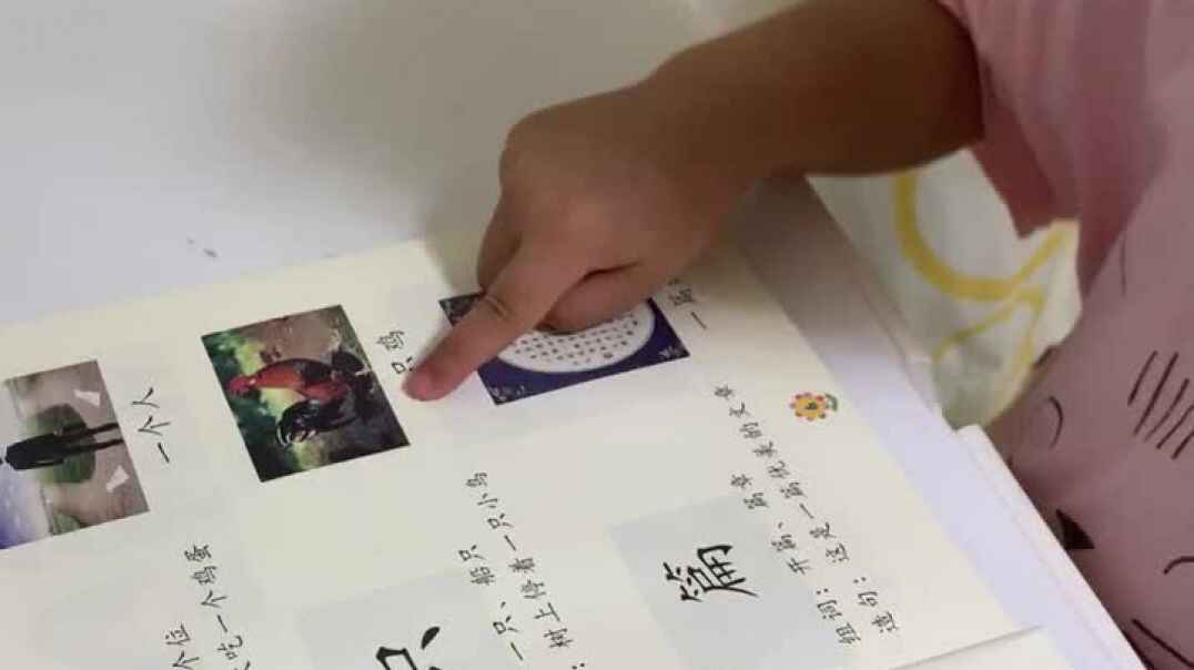 量词学习