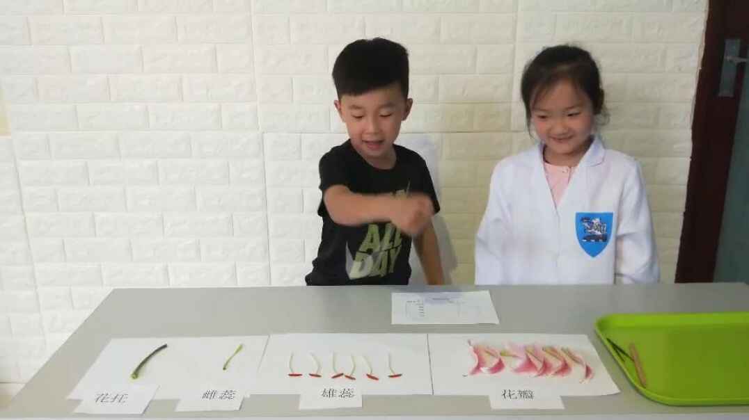 实验的知识