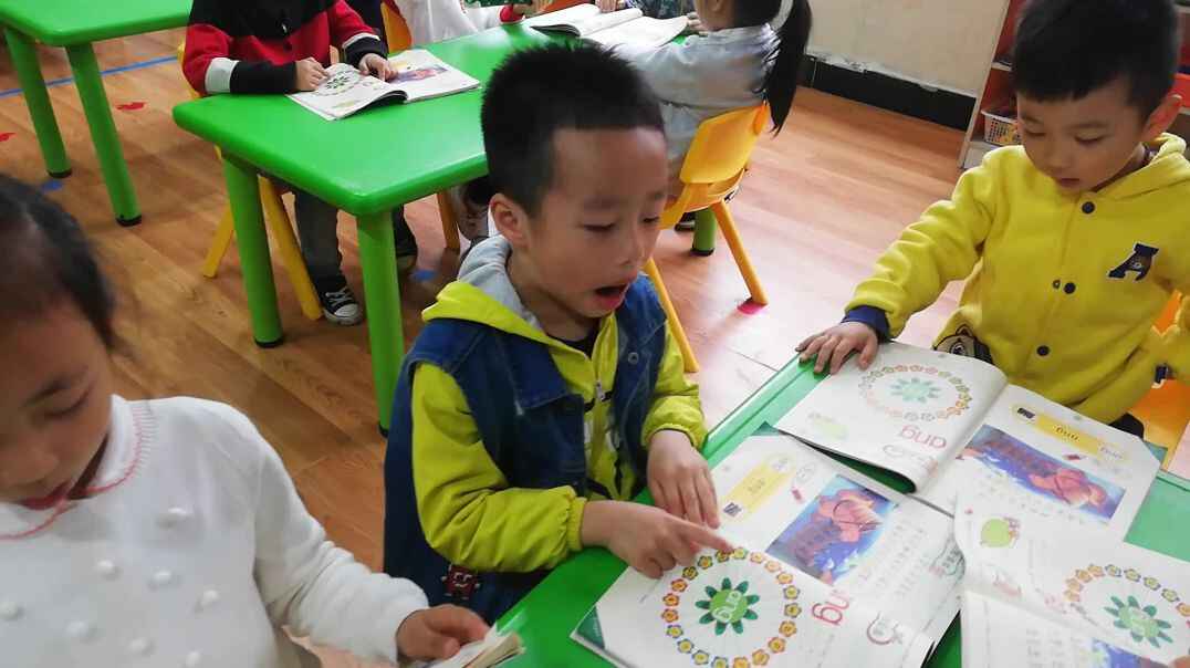 认知课程  语文能力 (2)