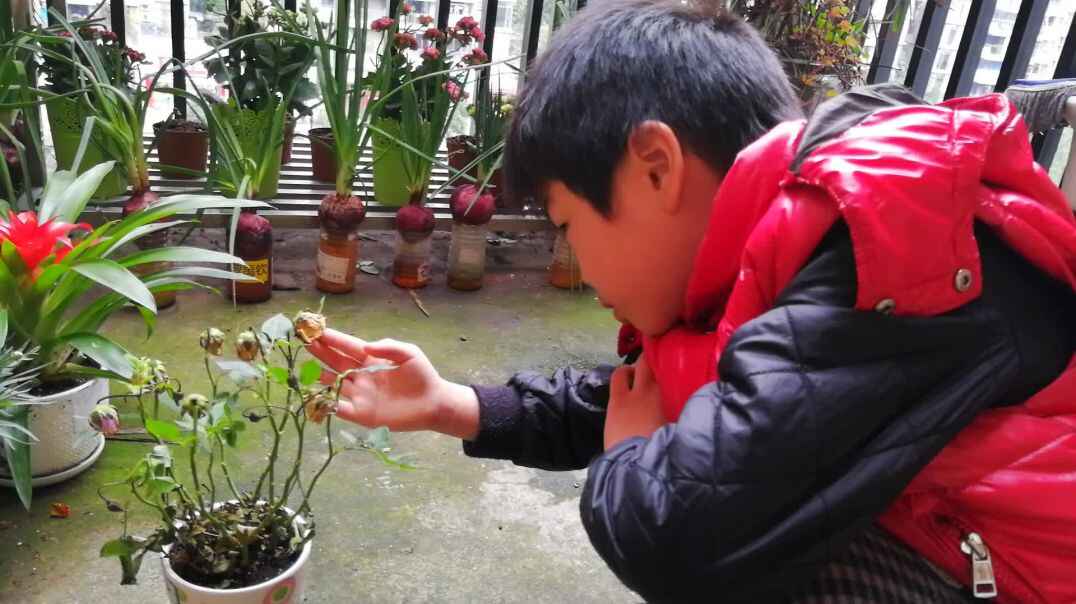 行动课程 表达能力 (2)