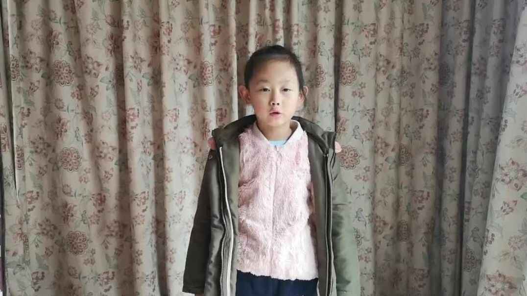 我的表演