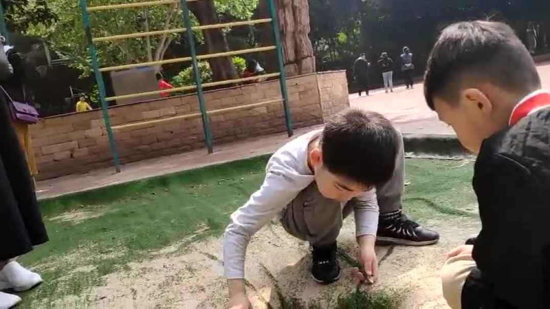 和小朋友之间的玩乐