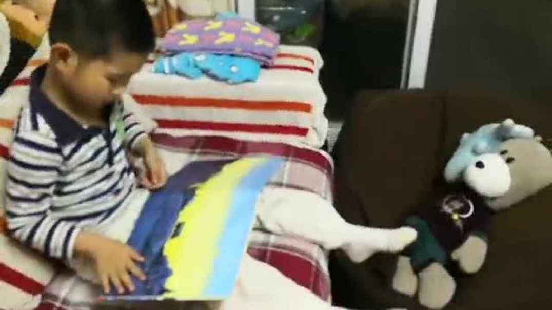 我的玩具