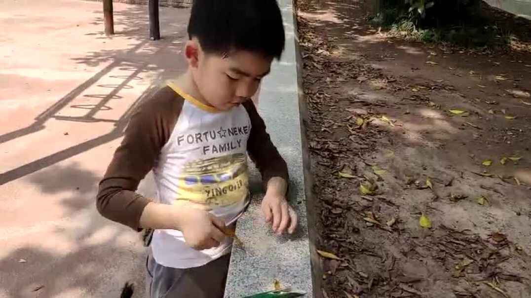 和哥哥的玩耍