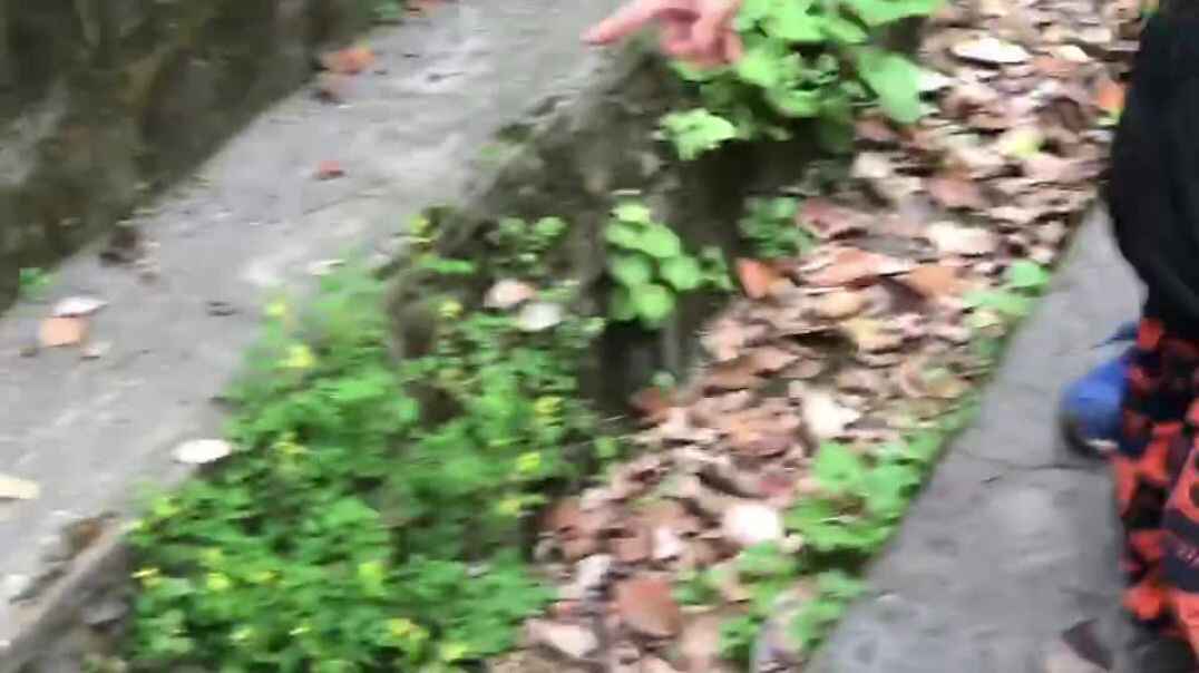 户外运动