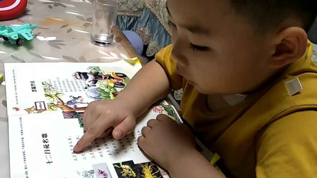 十二月花名歌.mp4