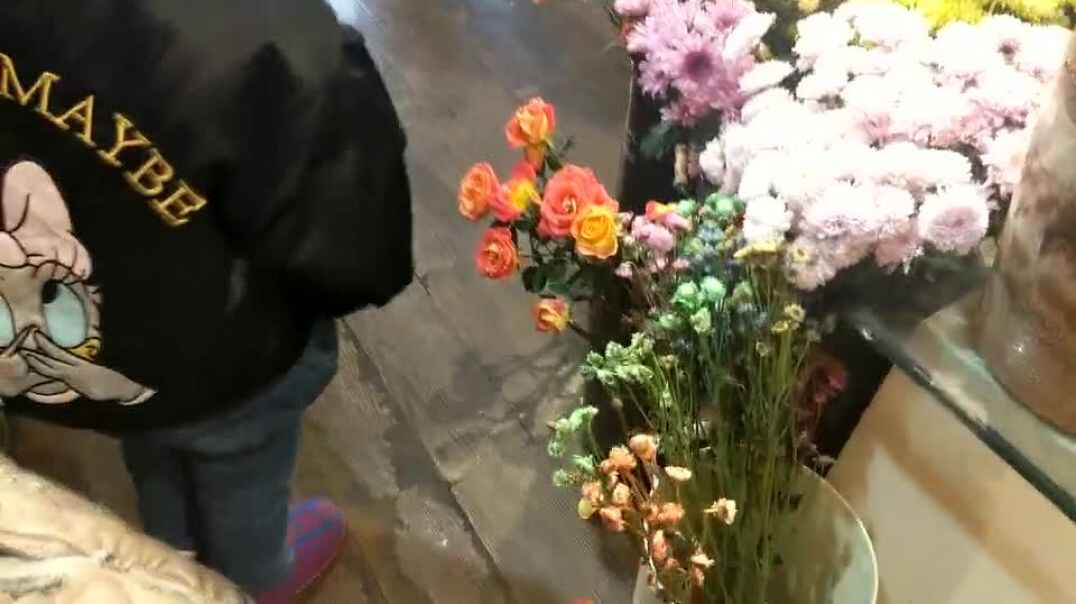花儿与宝贝