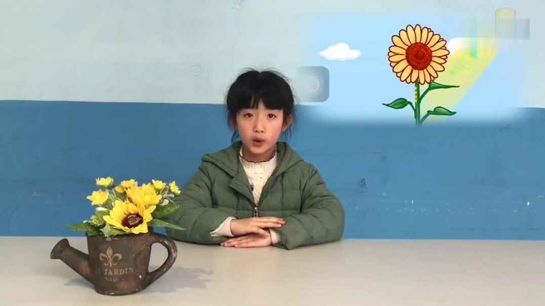 我的故事