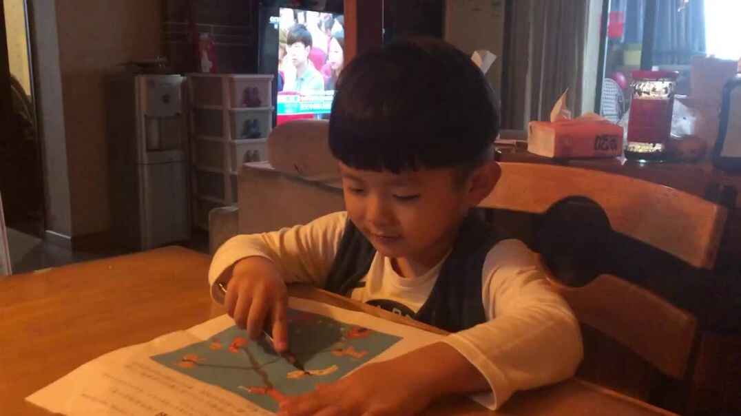 中B班石昊然.MOV