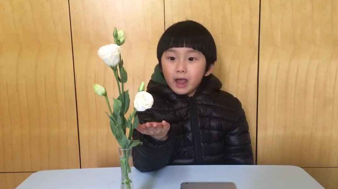 白色的花