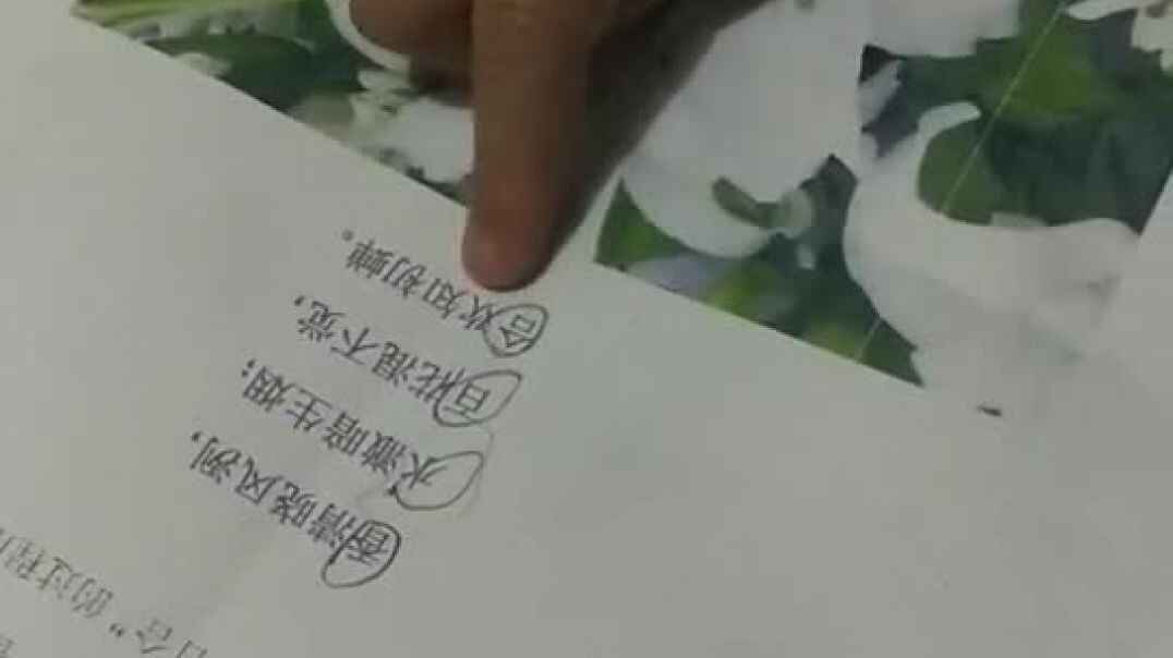 你会这样读吗