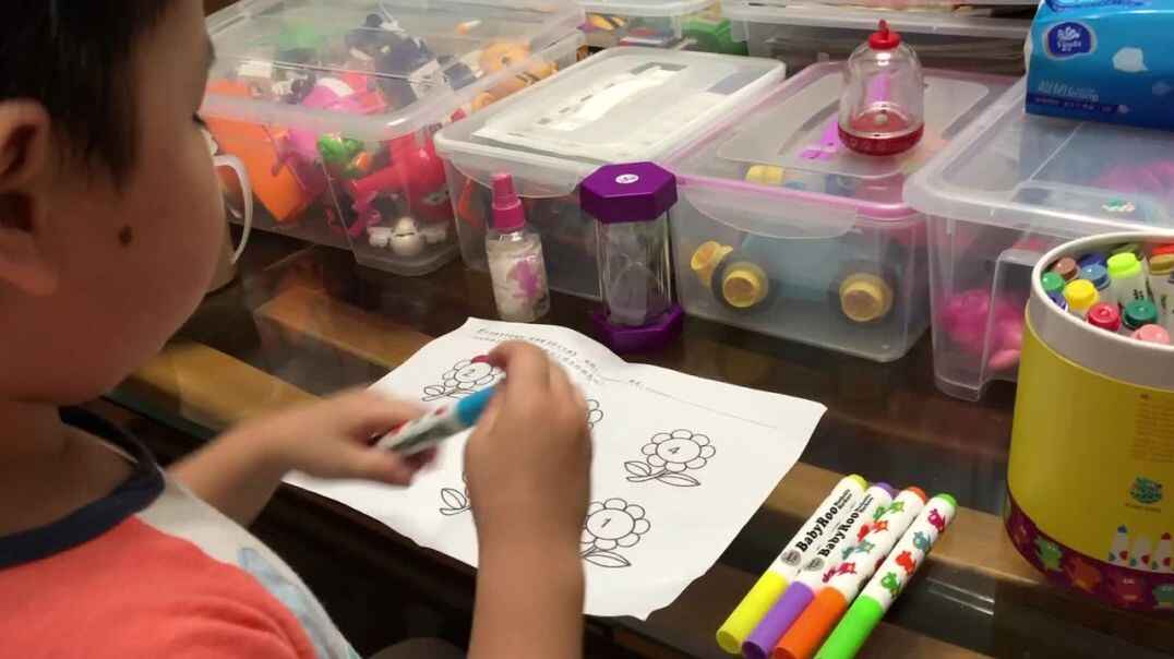 实验中班5号小朋友作业反馈