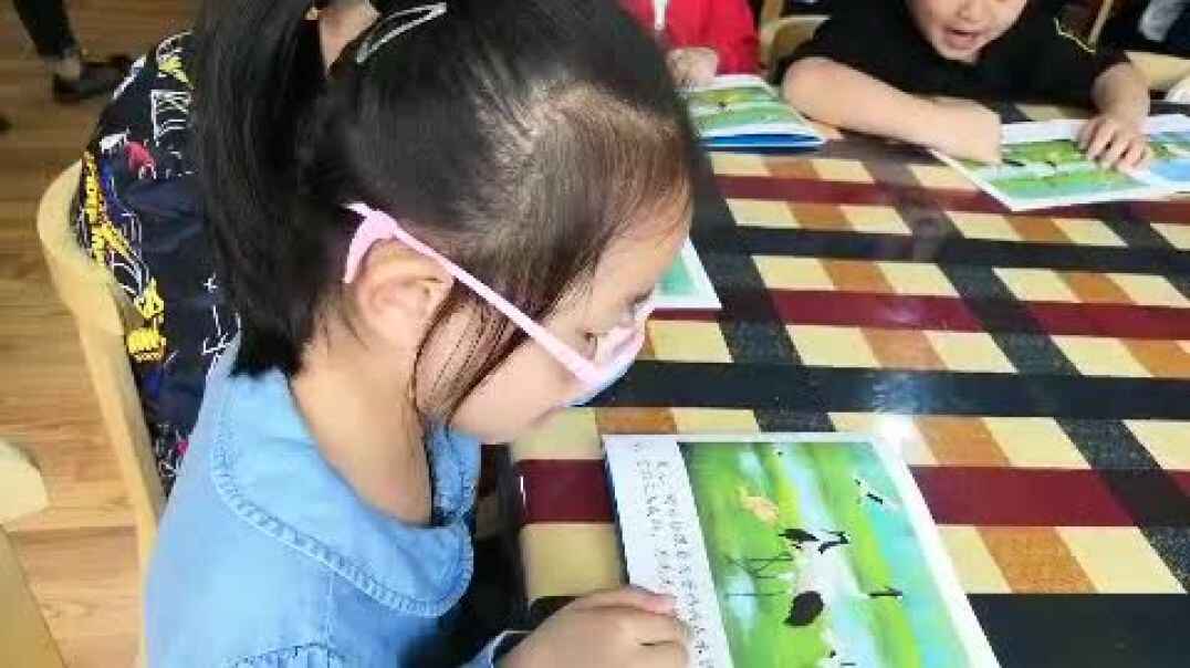 认真的学习