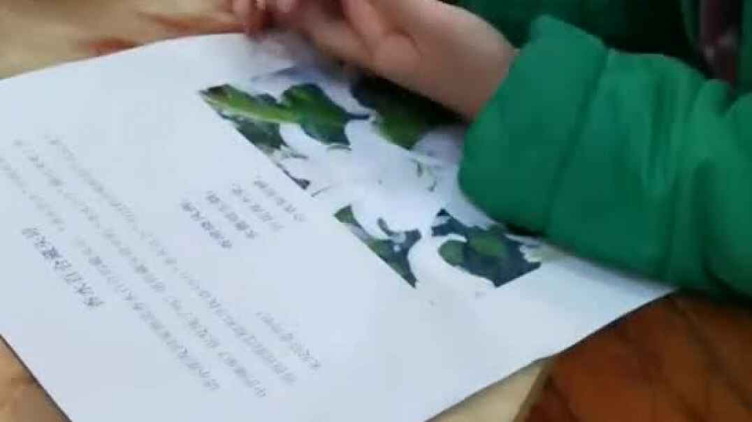 希希的阅读时间