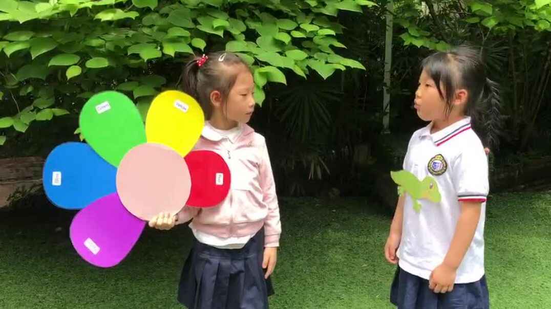 我的故事