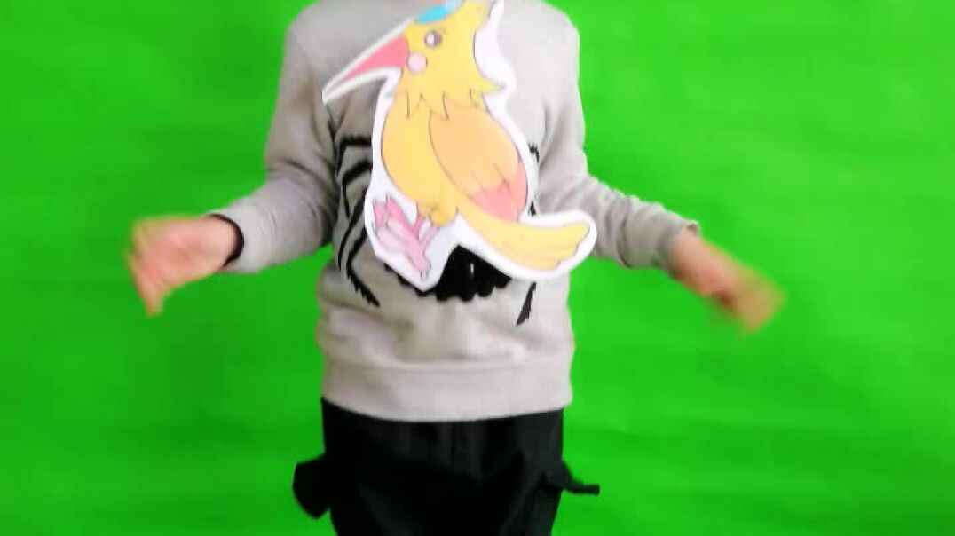 视频录制1
