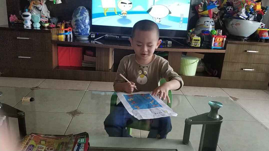 对相同外貌类型的小狗连线
